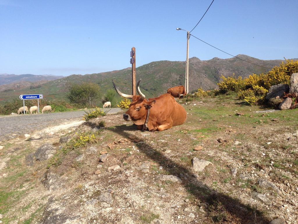 Cantinho Redondo Geres Entre Ambos os Rios Eksteriør billede